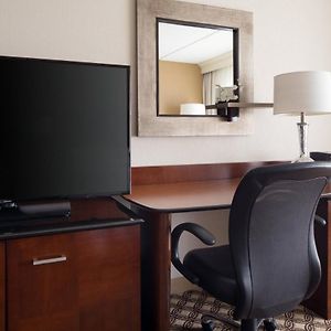 One-Bedroom Executive King Suite Sofa Bed